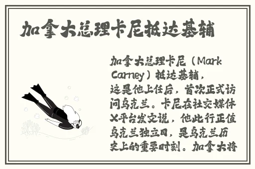吉沢明步磁力